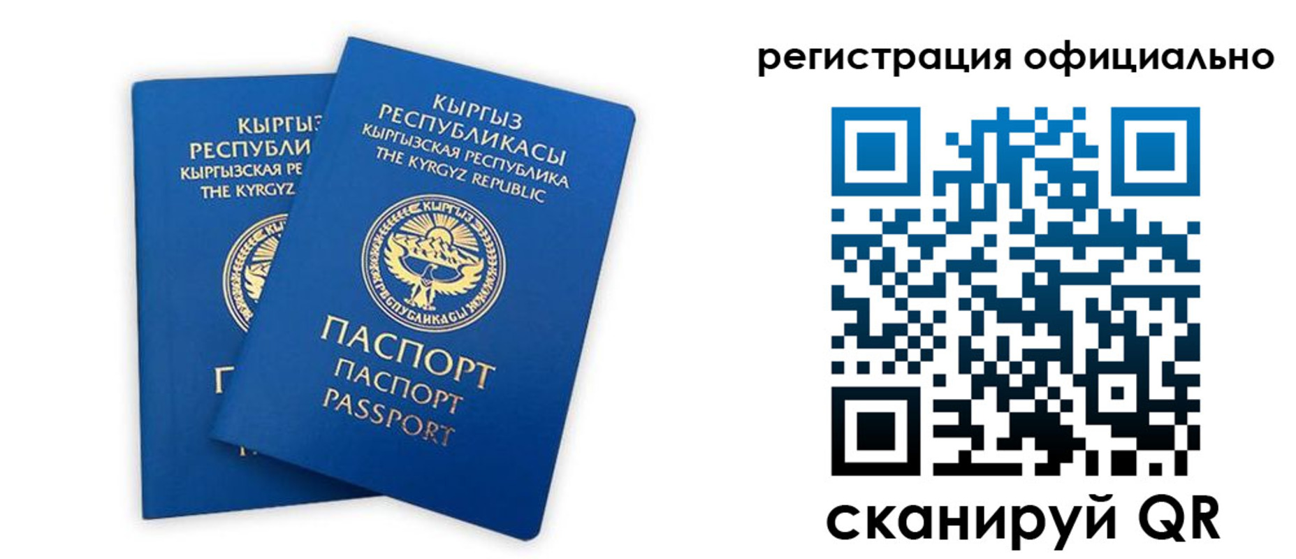 прописка поиск в Куртамыше